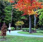 ten mile river greenway bike path